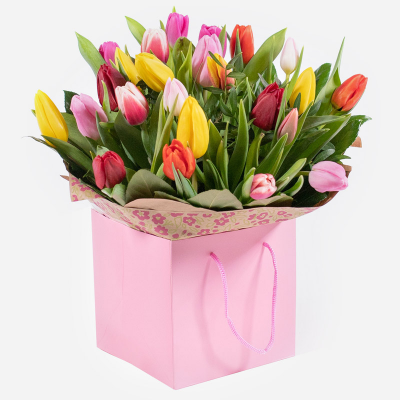 Tulip Temptations Product Image